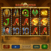 Vinyl - Book of Dead Slot Game - Play'n GO